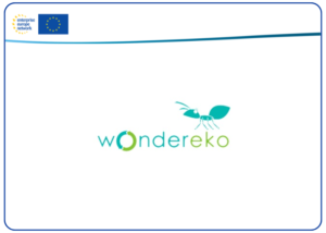 Casos de éxito wondereko