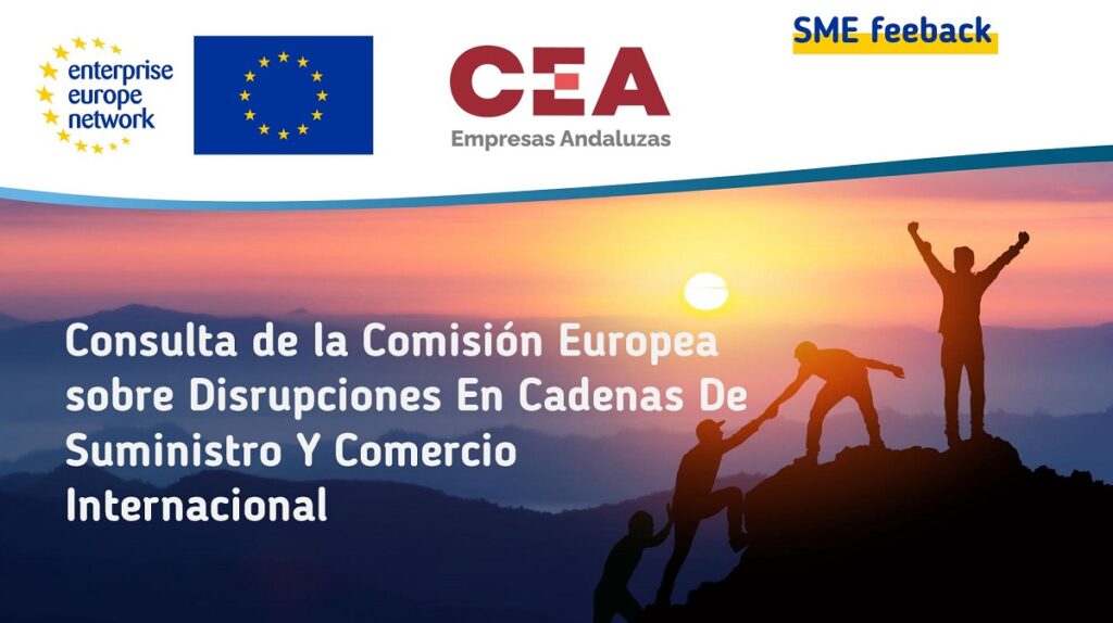 Consulta de la Comisión Europea sobre Disrupciones En Cadenas De Suministro Y Comercio Internacional